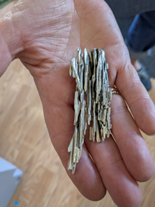 broom casting